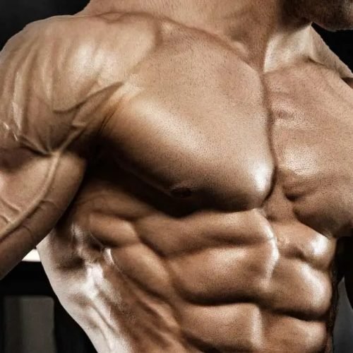 Muscle-Growth
